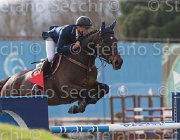 Garofalo A Onnyl TosTour 2013- S5 7630 : Arezzo Equestrian Centre, Garofalo Antonio, Onnyl des Serouis, Toscana Tour 2013, foto di Stefano Secchi ©